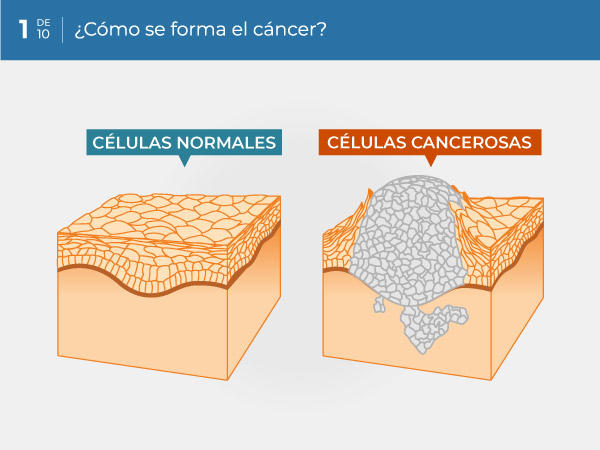 01-ES_how-does-cancer-form