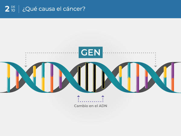 02-ES_what-causes-cancer
