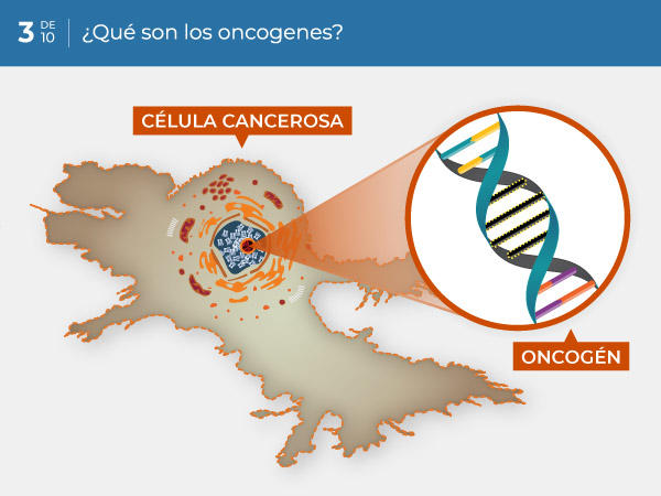 03-ES_what-are-oncogenes