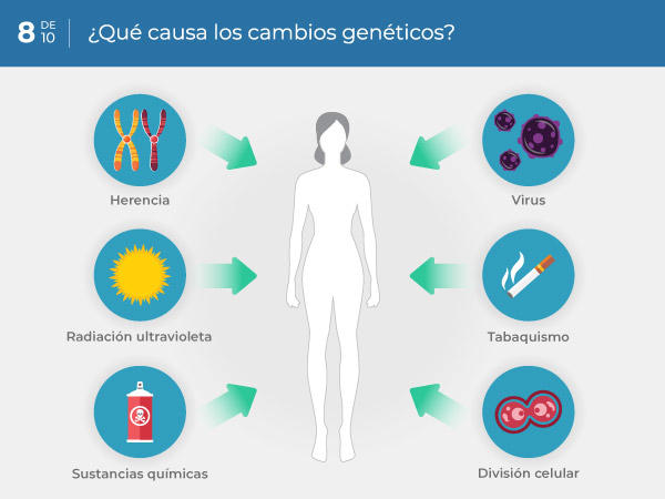 08-ES_what-causes-genetic-changes